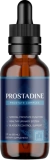 Prostadine Verified Formulation Bottle